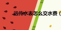 遠傳水表怎么交水費(遠傳水表)