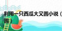 利用一只西瓜大又圓小說(利用一只西瓜大又圓)