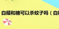 白醋和糖可以殺蚊子嗎(白糖白醋酒精驅蚊)