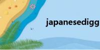 japanesedigg ans