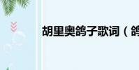 胡里奧鴿子歌詞(鴿子歌詞)