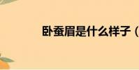 臥蠶眉是什么樣子(臥蠶眉)