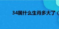 34屬什么生肖多大了(34屬什么)
