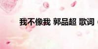 我不像我 郭品超 歌詞(我不像我)