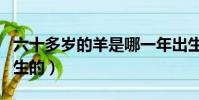 六十多歲的羊是哪一年出生的(羊是哪一年出生的)