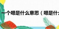 一個嗯是什么意思(嗯是什么意思在聊天時)