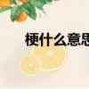 梗什么意思是什么（梗是什么意思呢）