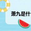 蕭九是什么身份（蕭九的全部作品）