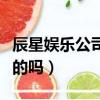 辰星娛樂公司工作怎么樣（辰星娛樂面試是真的嗎）