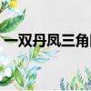 一雙丹鳳三角眼兩彎柳葉（一雙丹鳳三角眼）