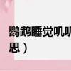 鸚鵡睡覺嘰嘰咕咕是什么意思（咕咕是什么意思）