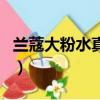 蘭蔻大粉水真假辨別圖新版（蘭蔻真假辨別圖）