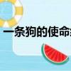 一條狗的使命經典片段（一條狗的使命評價）