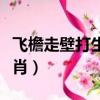 飛檐走壁打生肖是什么動物（飛檐走壁打一生肖）
