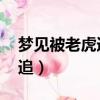 夢見被老虎追是什么預兆 女性（夢見被老虎追）
