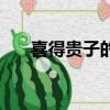 喜得貴子的短信（喜得貴子報喜短信）