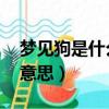 夢見狗是什么意思 周公解夢（夢見狗是什么意思）