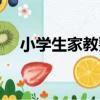小學生家教要求（小學生家教如何收費）