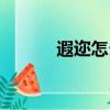 遐邇怎么讀拼音（遐邇怎么讀）