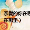 親愛的你在哪里媛媛被誰藏起來了（親愛的你在哪里）