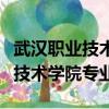 武漢職業技術學院專業組代號查詢（武漢職業技術學院專業）