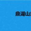 鼎湖山泉ph值多少（鼎湖山泉）