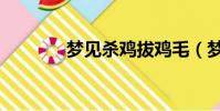 夢見殺雞拔雞毛(夢見殺雞)