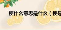 梗什么意思是什么(梗是什么意思呢)