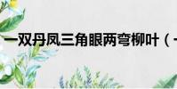 一雙丹鳳三角眼兩彎柳葉(一雙丹鳳三角眼)