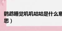 鸚鵡睡覺嘰嘰咕咕是什么意思(咕咕是什么意思)