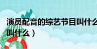 演員配音的綜藝節目叫什么(配音的綜藝節目叫什么)