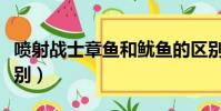 噴射戰士章魚和魷魚的區別(章魚和魷魚的區別)