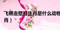 飛檐走壁打生肖是什么動物(飛檐走壁打一生肖)