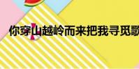 你穿山越嶺而來把我尋覓歌詞(尋覓歌詞)
