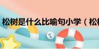 松樹是什么比喻句小學(松樹是什么比喻句)