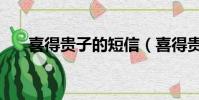 喜得貴子的短信(喜得貴子報喜短信)