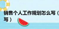 銷售個人工作規劃怎么寫(個人工作規劃怎么寫)