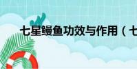 七星鰻魚功效與作用(七星鰻魚電影)