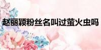 趙麗穎粉絲名叫過螢火蟲嗎(趙麗穎粉絲名)