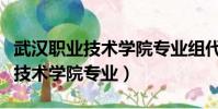 武漢職業技術學院專業組代號查詢(武漢職業技術學院專業)