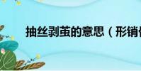 抽絲剝繭的意思(形銷骨立的意思)