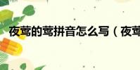 夜鶯的鶯拼音怎么寫(夜鶯的鶯字怎么寫)