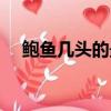 鮑魚幾頭的最好（鮑魚幾頭是什么意思）