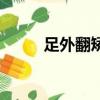 足外翻矯正鞋墊（足外翻矯正鞋）