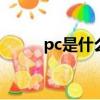 pc是什么意思（ppc是什么意思）