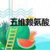 五維賴氨酸片功效和作用（五維賴氨酸）