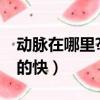 動脈在哪里?我想走了（動脈在哪里怎么割死的快）