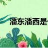 潘東潘西是什么意思（潘西是什么意思）