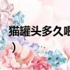 貓罐頭多久喂一次比較好（貓罐頭多久喂一次）