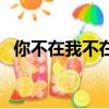 你不在我不在是什么歌曲（你不在我不在）